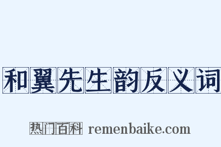 和翼先生韵反义词是什么意思的图片